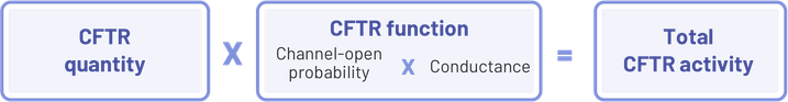 Total CFTR Equation