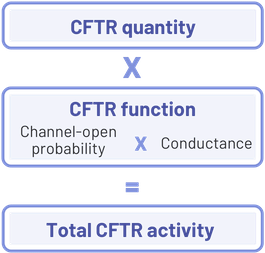 Total CFTR Equation