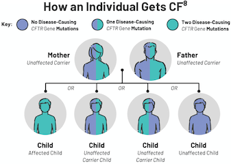 Image showing how an individual gets CF